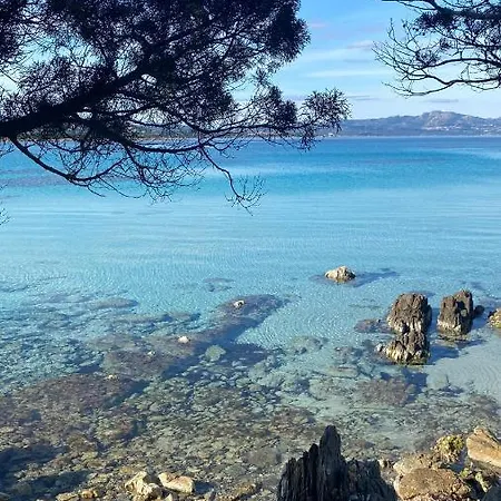 House Stefi