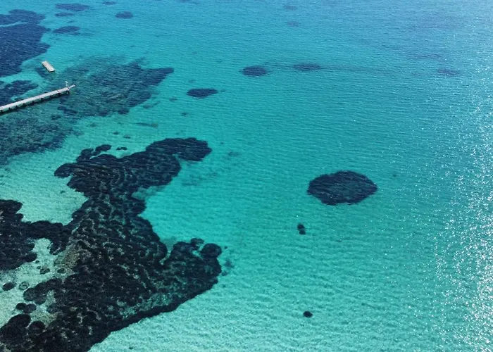 Apartman House Stefi